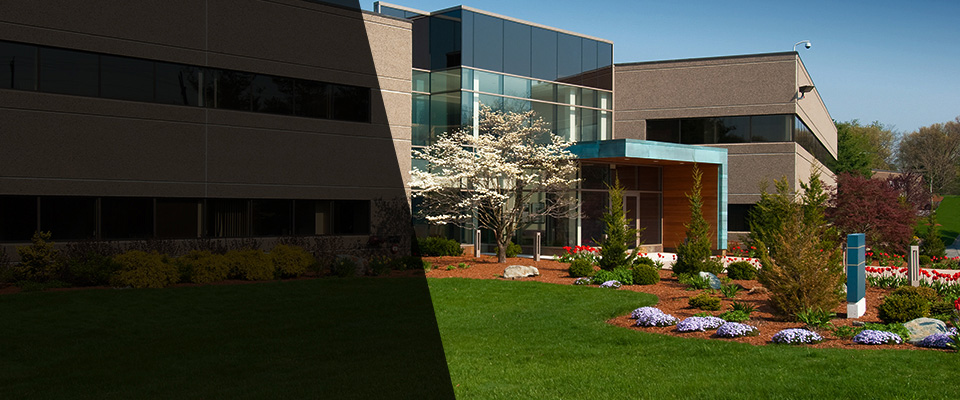 Dewey Landscapers