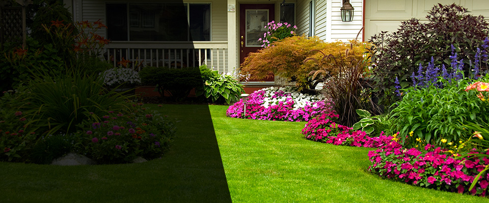 Dewey Landscapers